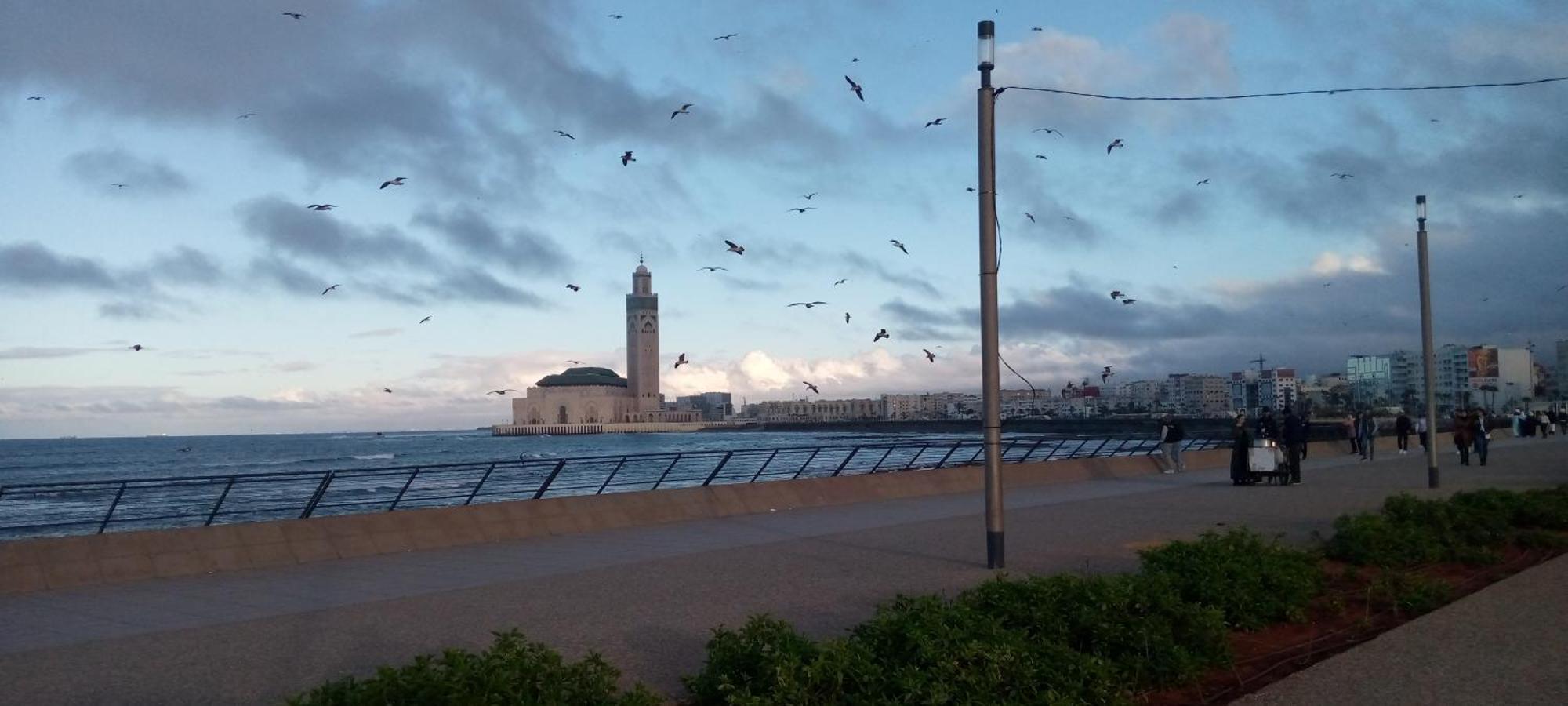 Moroccan Teguemi Casablanca Kültér fotó